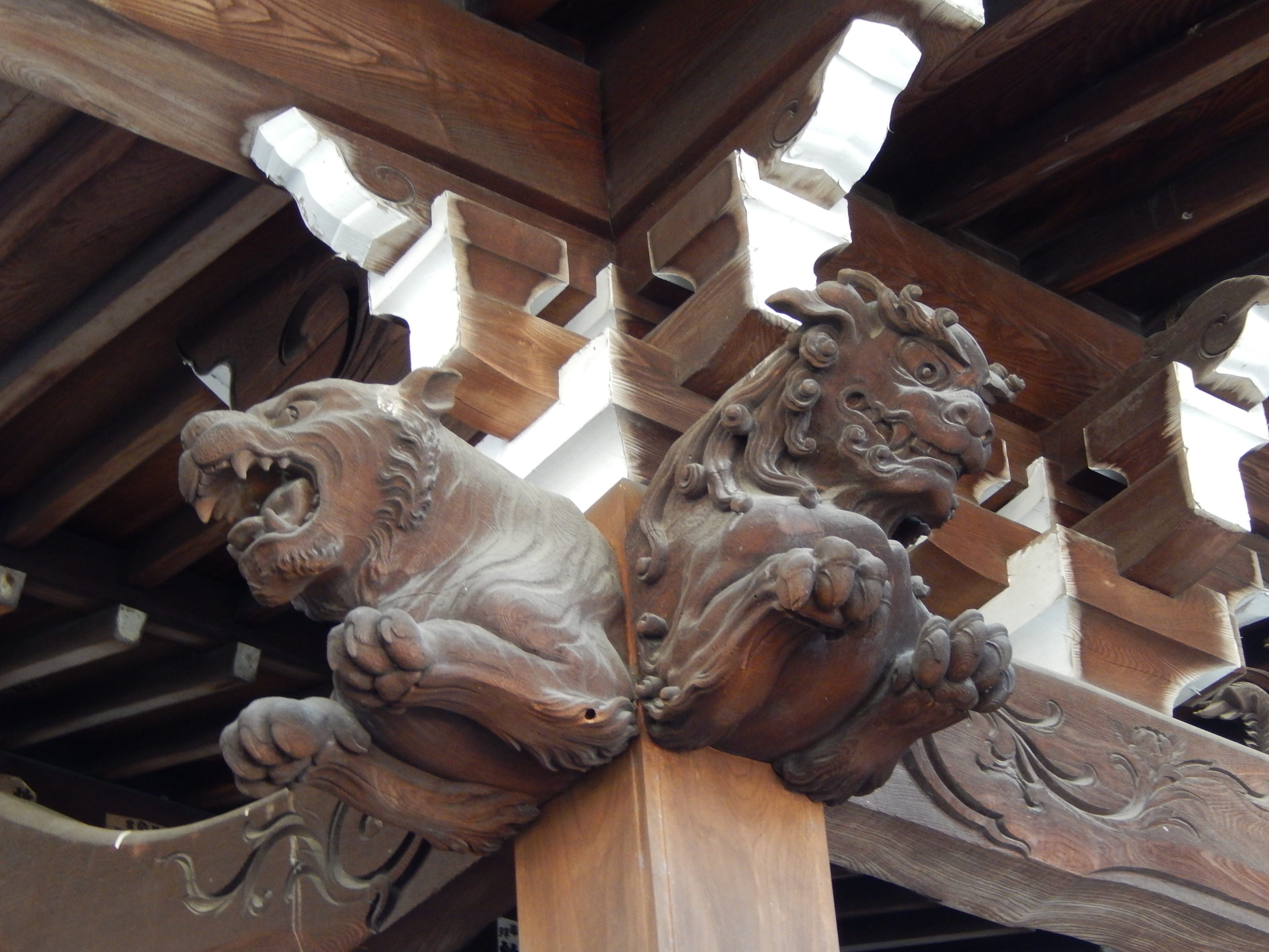 お堂に虎が？！目黒大圓寺阿弥陀堂
