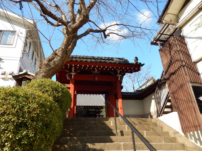移転、移築…歴史の奥を感じる黄檗宗のお寺