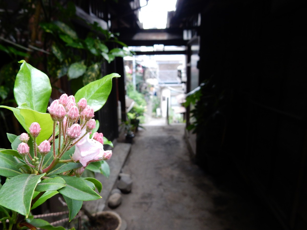 お寺由来の旧町名―真砂町