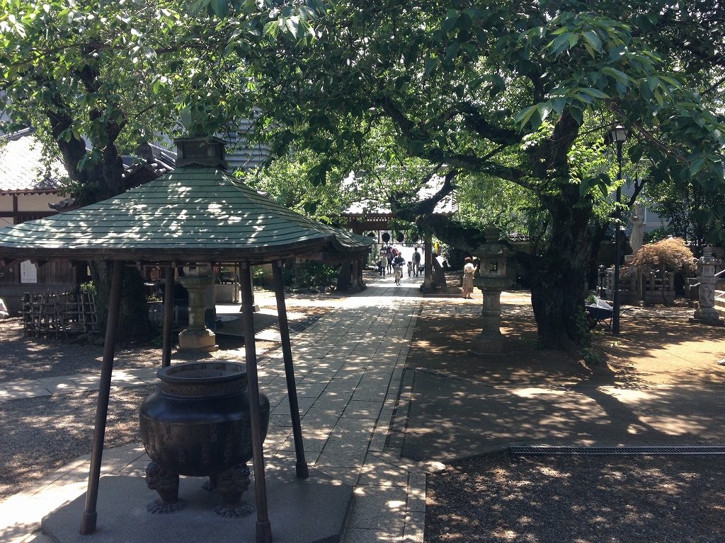 初夏、緑あふれる境内