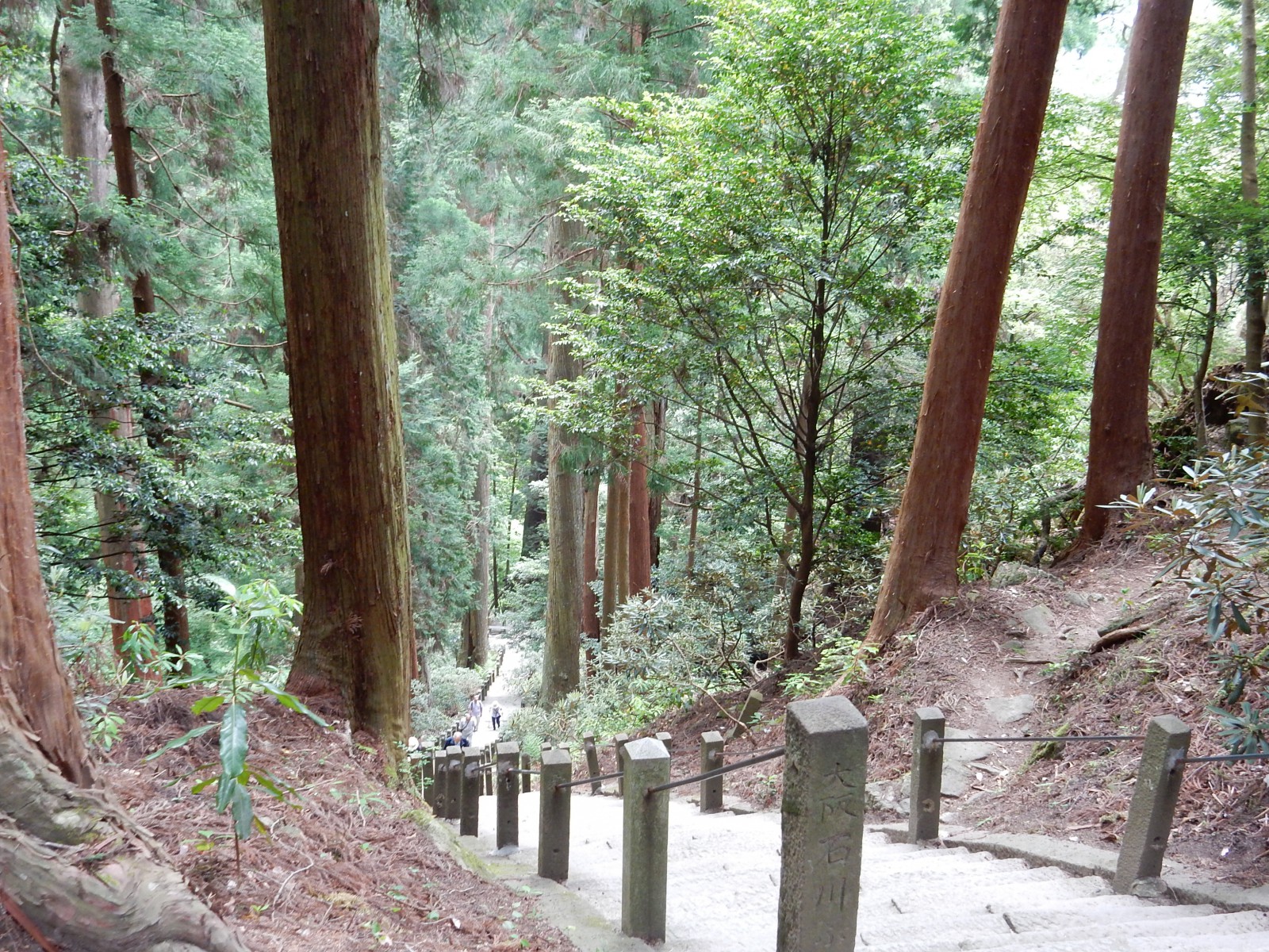 初夏の室生寺、720段を上って奥の院へ