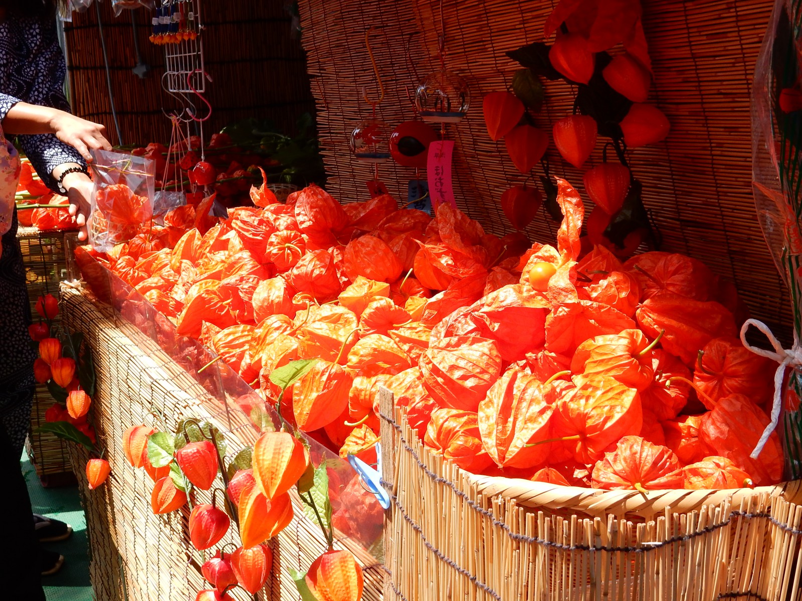 四万六千日の浅草観音詣で