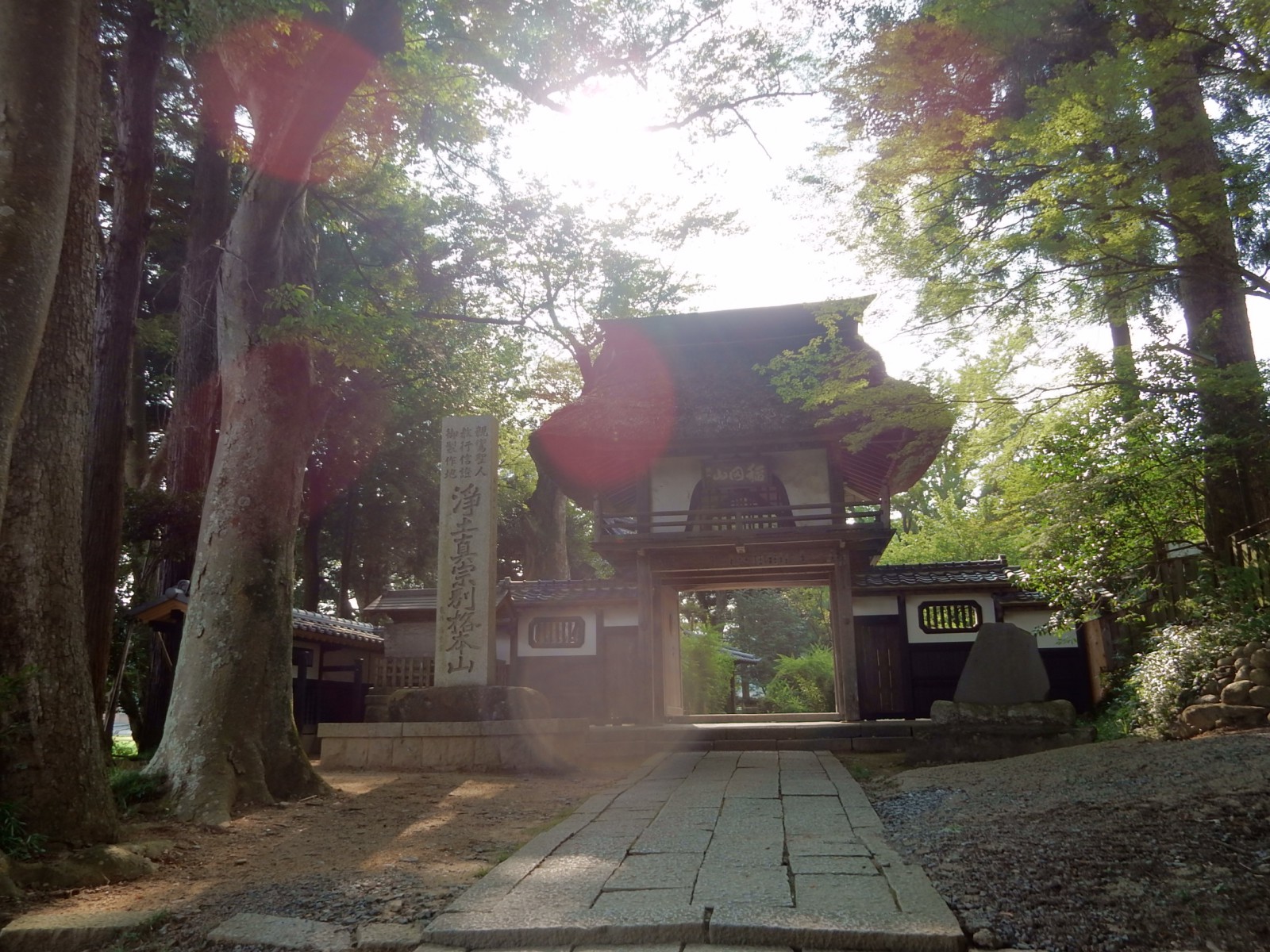 稲田禅坊 山門