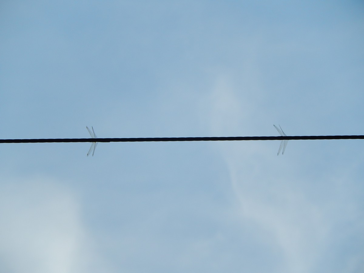 シルバーウィーク、ドコヘイク？