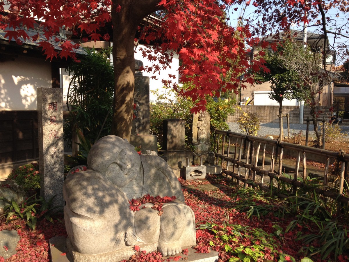 冬支度? ひと休み、ひと休み。