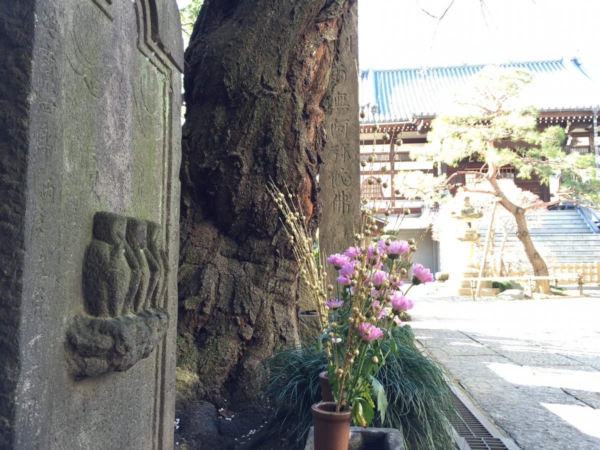 申年の庚申塔｜喜久井町来迎寺