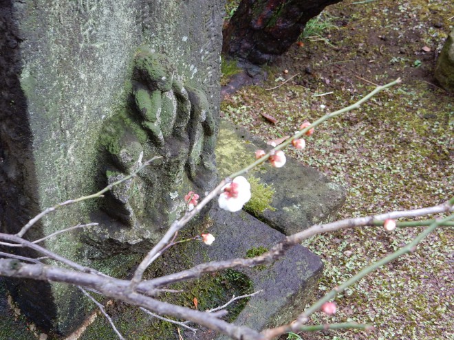 目白不動跡へ行ってみた