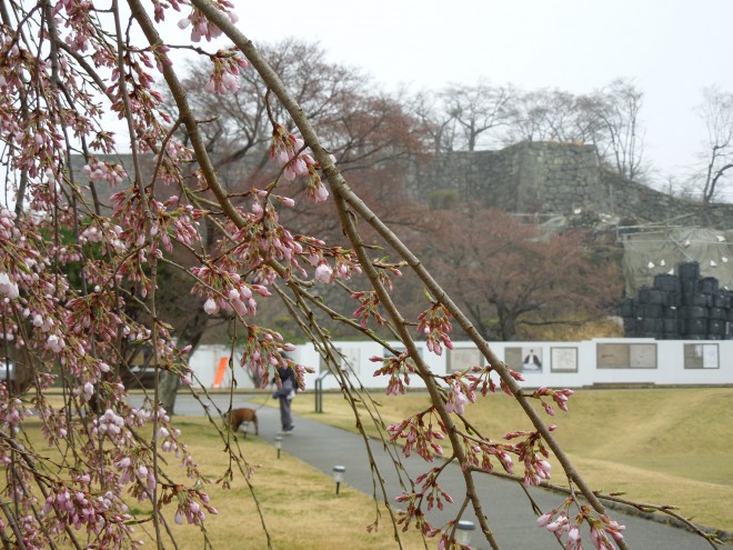 白河小峰城の石垣