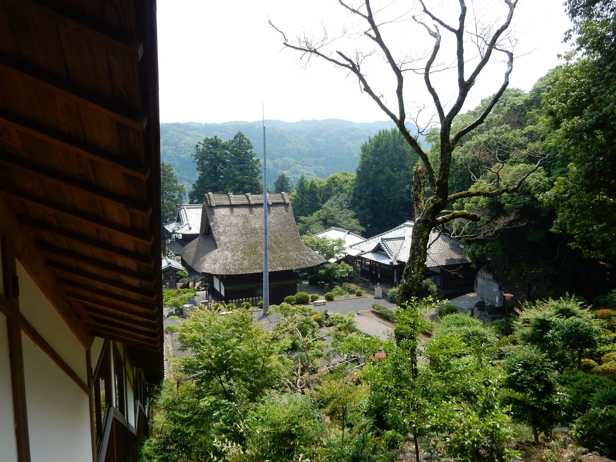 和む禅寺|国東泉福寺