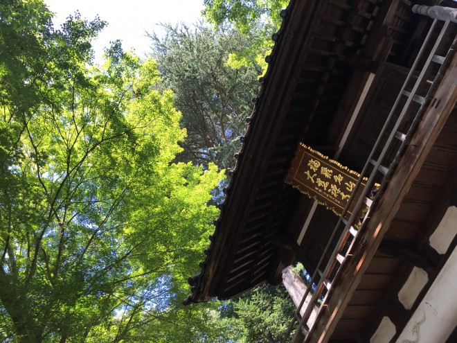 初秋は晩夏｜東北／大慈寺