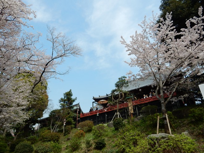 150年前、上野のお山で