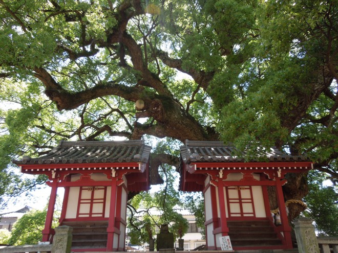 お大師さま誕生の地｜善通寺