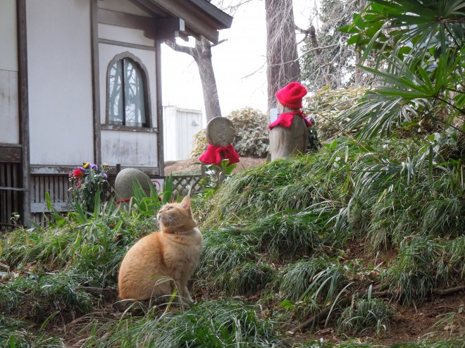 地蔵と猫｜水戸六地蔵寺