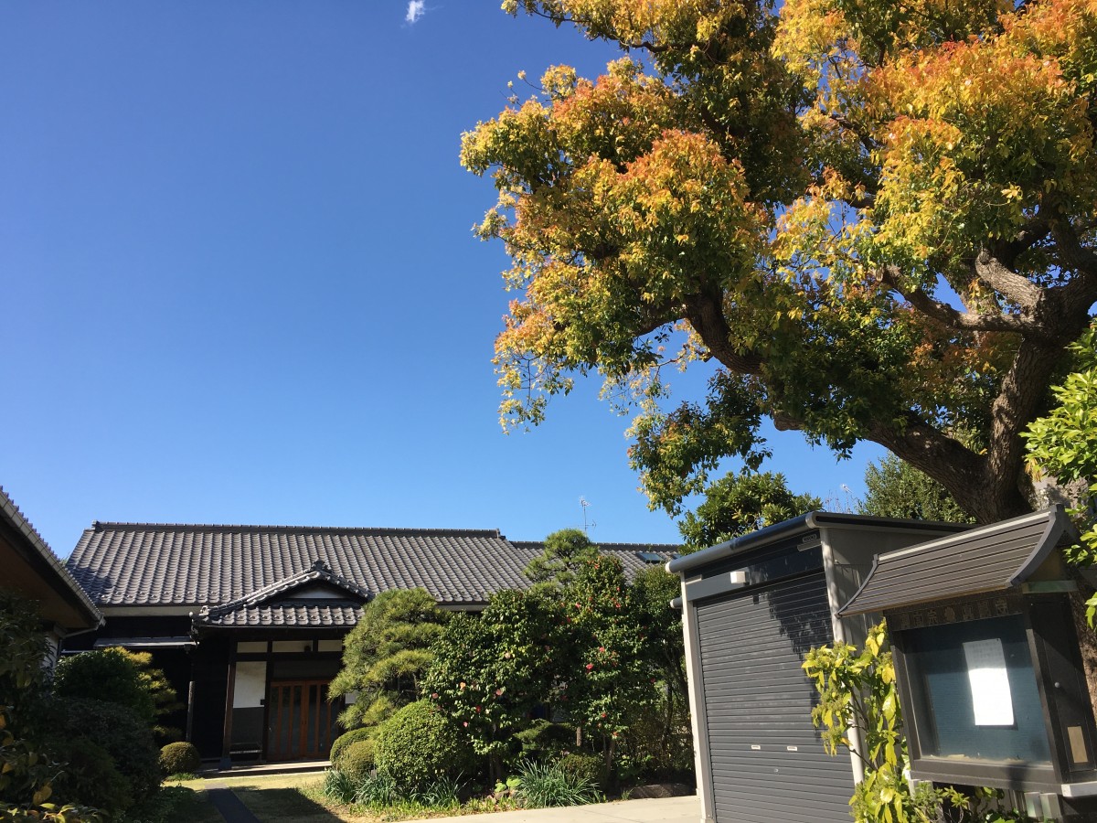 春彼岸中日の青空