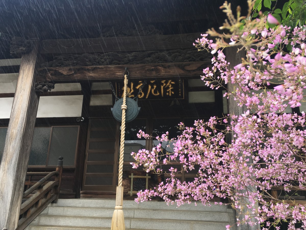 1年前の今日のお寺｜平成最後のてらまちさんぽ